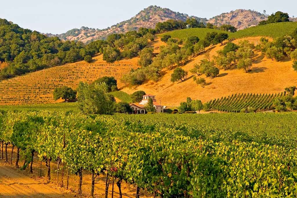 Napa Valley, California. Photo 123rf.