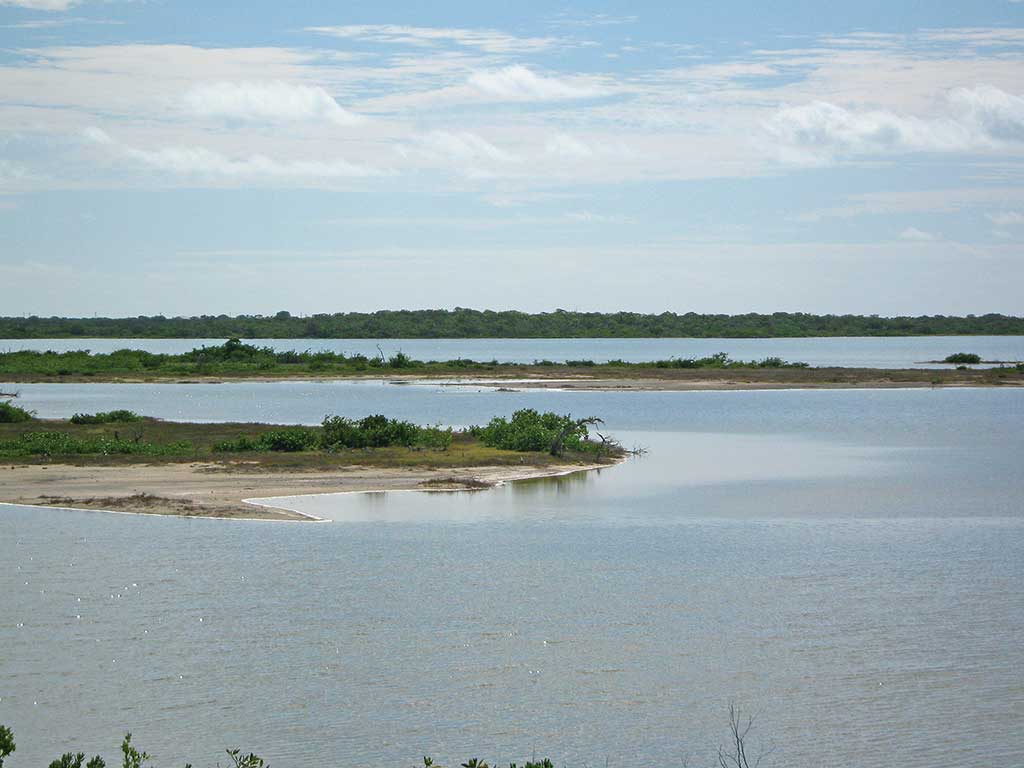 The Western Salt Ponds are good for bird-watching. Photo © Susanna Henighan Potter.