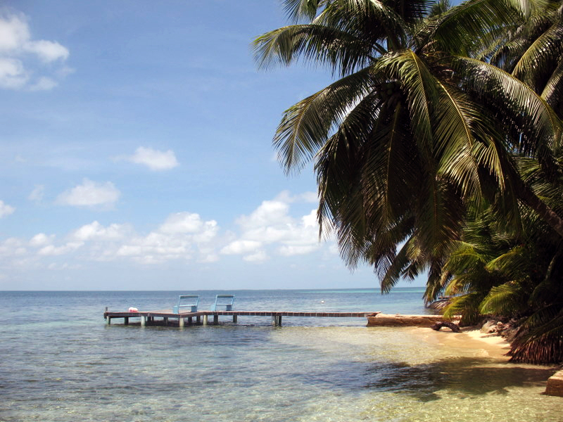 Two chairs on a dock in clear shallow water surrounded by palm trees.