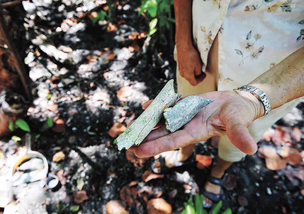 Bone fragments found at the Marco Gonzalez Maya Site. Photo © Lebawit Lily Girma.