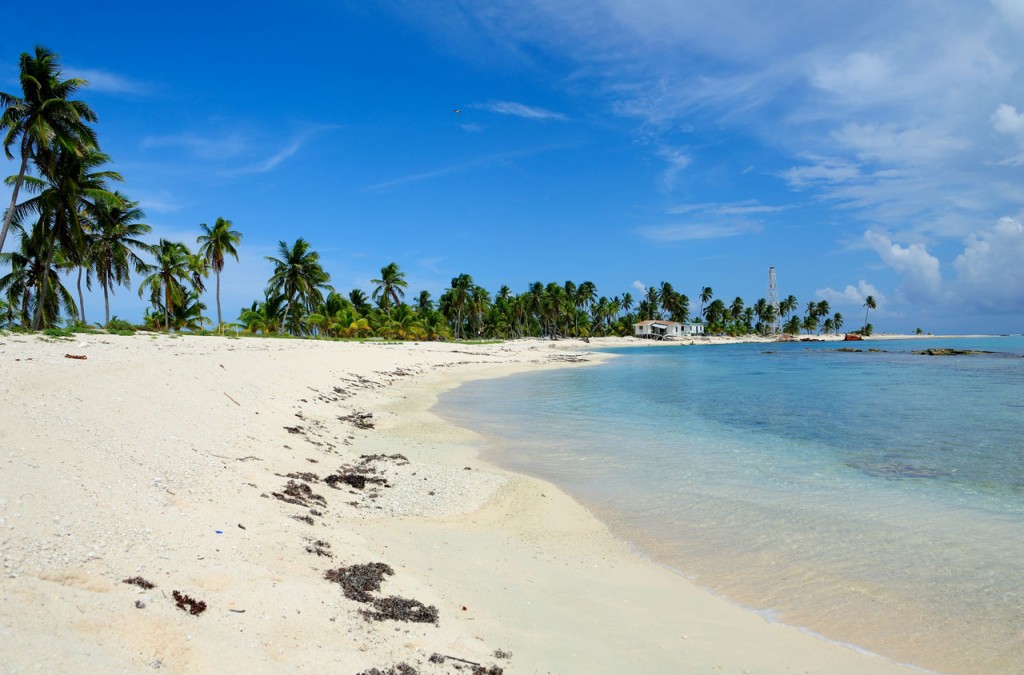 A crescent white sand beach dotted with palm trees.