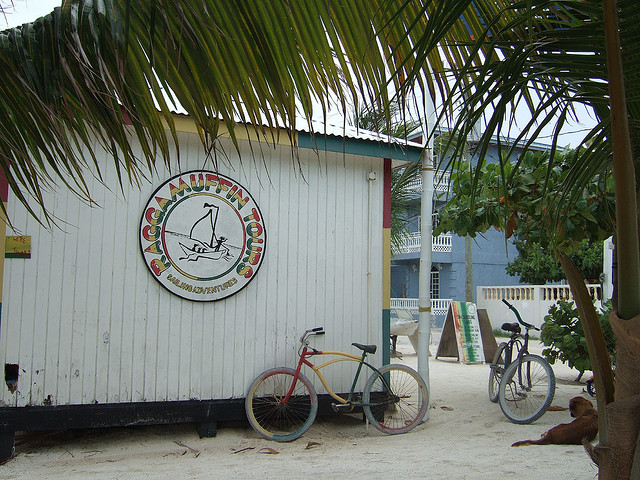 Beach cruiser bicycles in rasta colors lean up against a simple wooden building with a sign that reads Raggamuffin Tours.