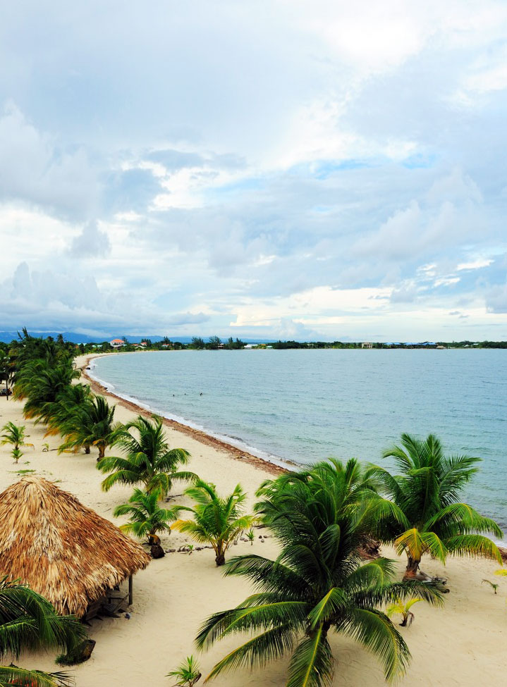 Squat palm trees stud a long, gently curving stretch of beach in Placencia Village, Belize.