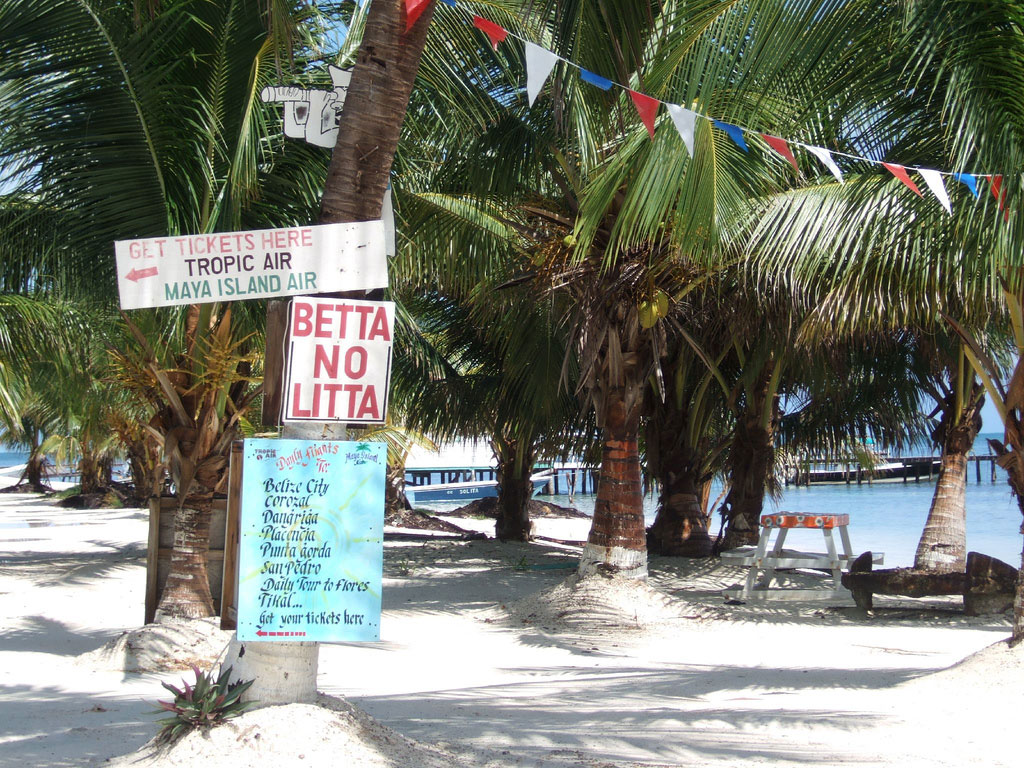 A sign reading 'Betta No Litta' is tacked to a tree near the beach.