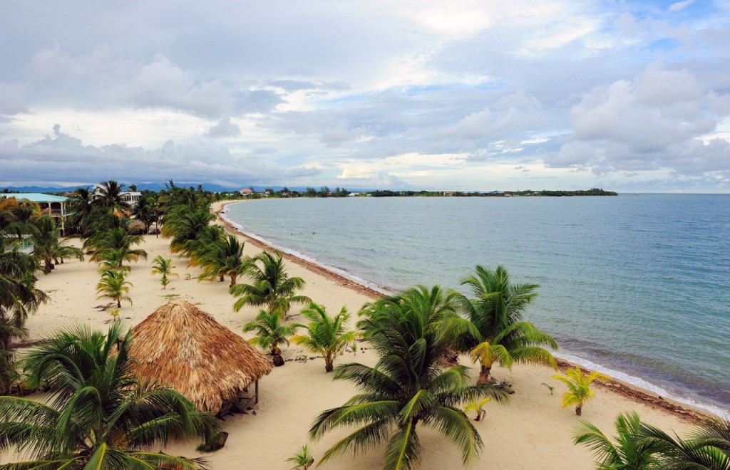 Squat palm trees stud a long, gently curving stretch of beach.