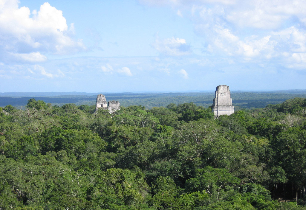 View across the canopy with the tops of temple ruins visible.