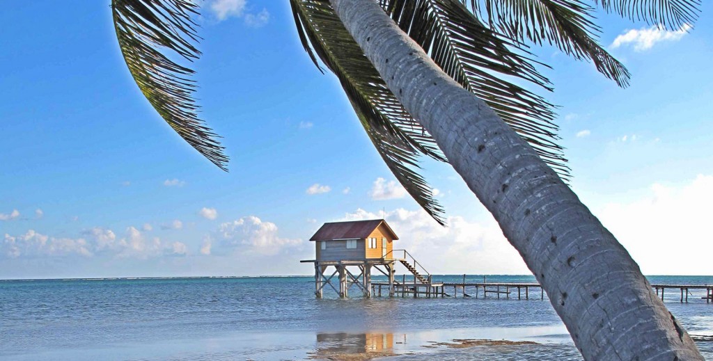 Out in the water, a small building at the end of a pier while a palm tree curves in the foreground.