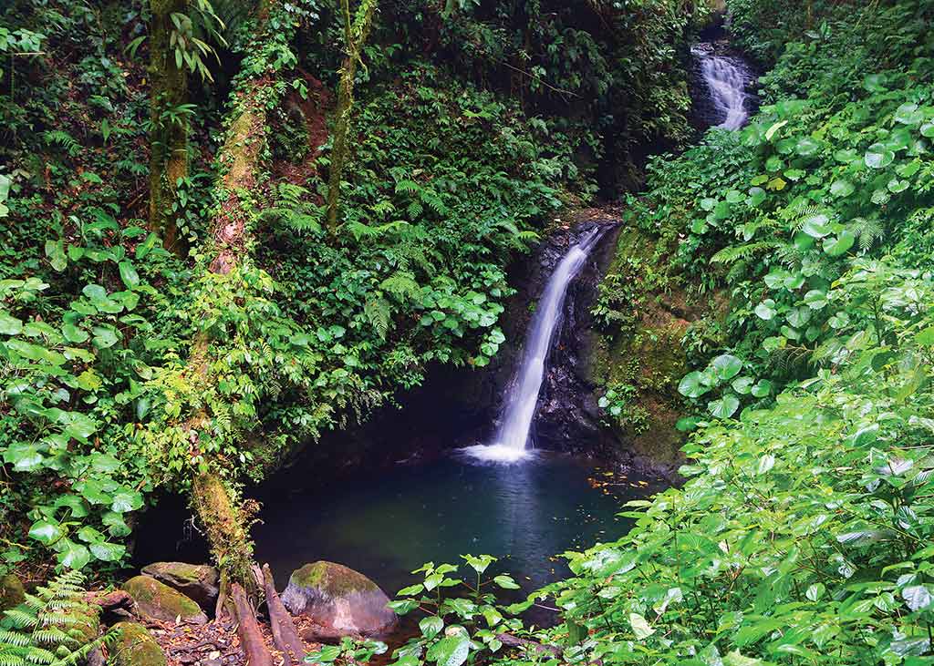 Waterfall in Monteverde Cloud Forest Reserve. Photo © Christopher P. Baker.