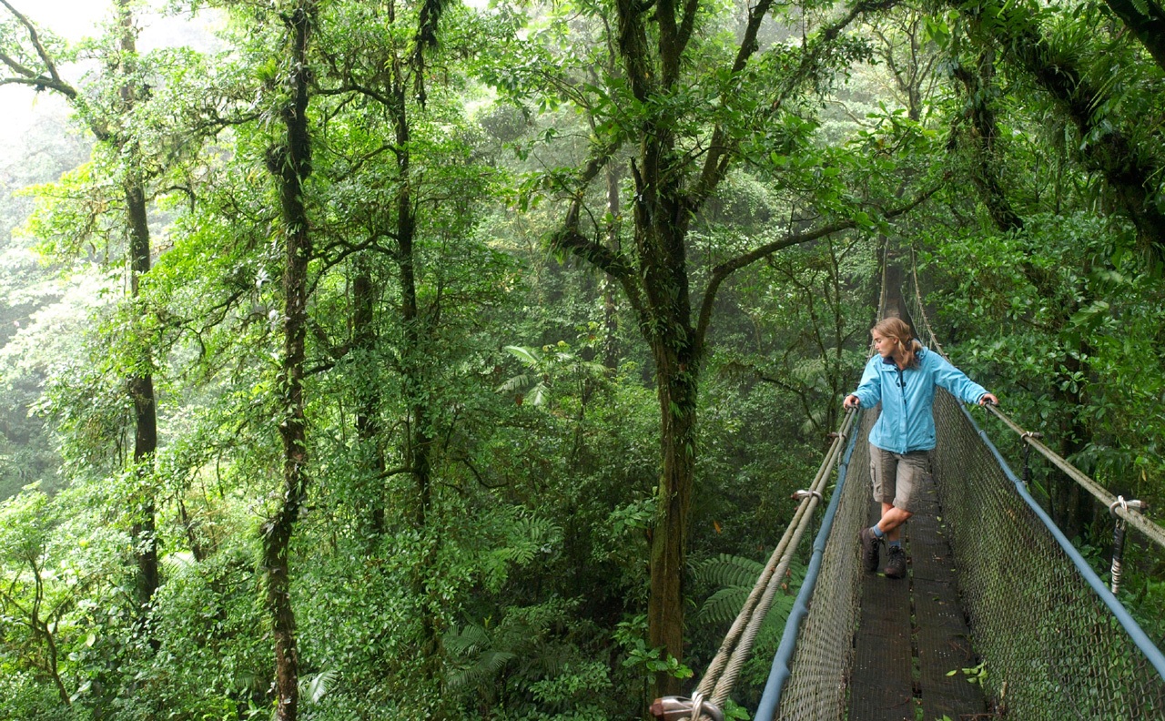 A woman crosses a hanging rope bridge amidst lush green trees.