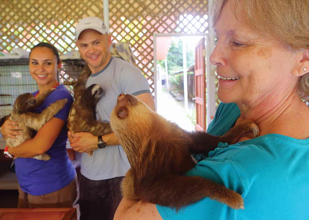 Judy Arroyo with rescued sloths at the Sloth Sanctuary. Photo © Christopher P. Baker.