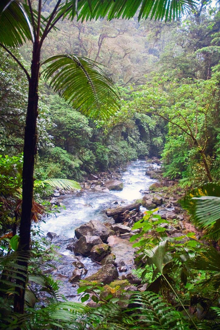 Tropical rainforest with mountain river. Arenal, Costa Rica.