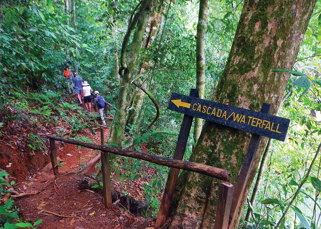 Hiking to San Pedrillo waterfall, Corcovado National Park. Photo © Christopher P. Baker.