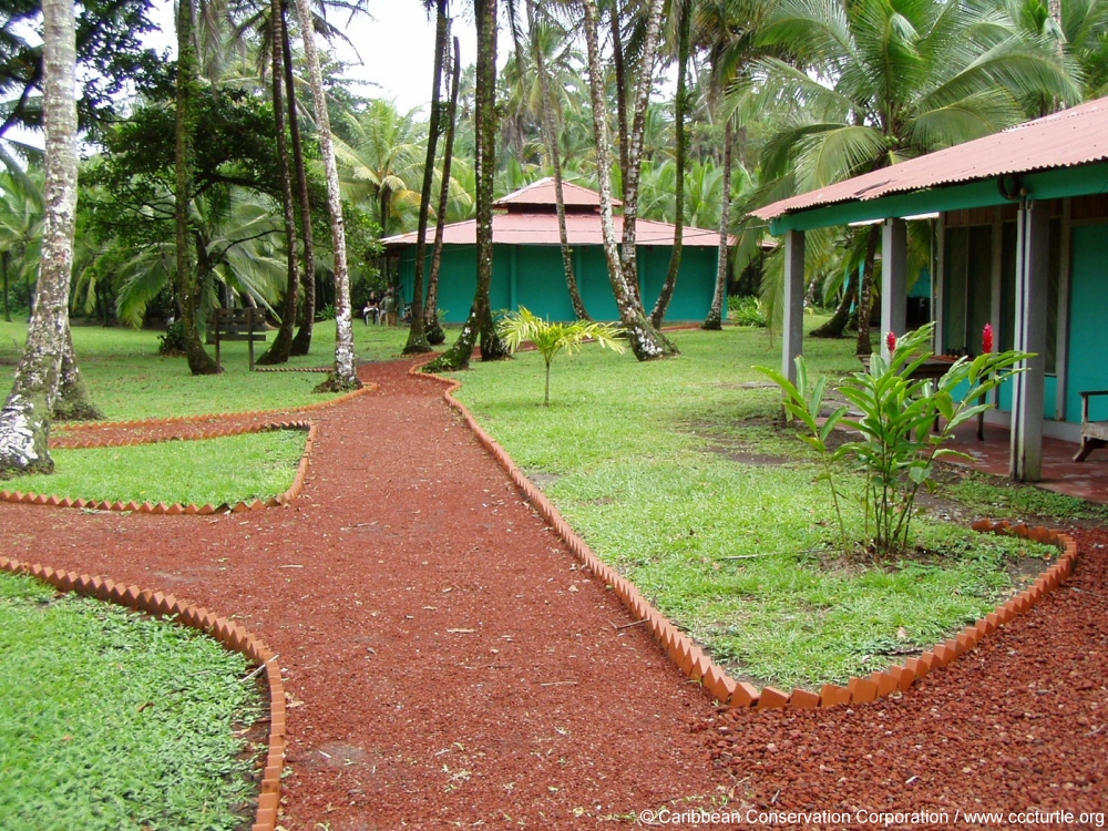 Well groomed paths go between small cabins at the Tortuguero Research Station in Costa Rica.