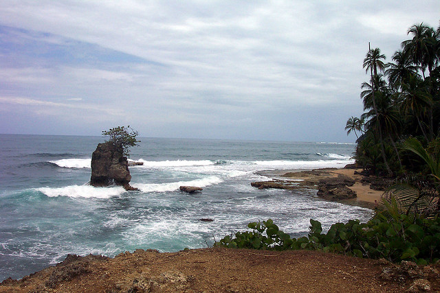 Waves wash up on a narrow beach that turns almost immediately to jungle.