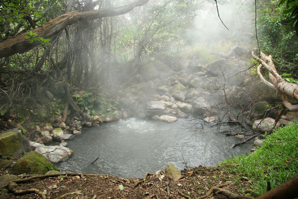 Steam rises from a small natural spring in a lush forested area.