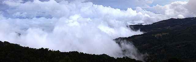 Clouds at the summit of Cerro de la Muerte.