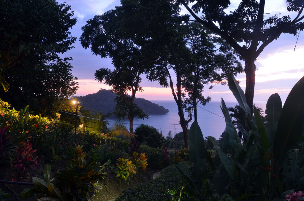 Lights illuminate landscaped flowering bushes with a view of the ocean turning purple at sunset in the distance.