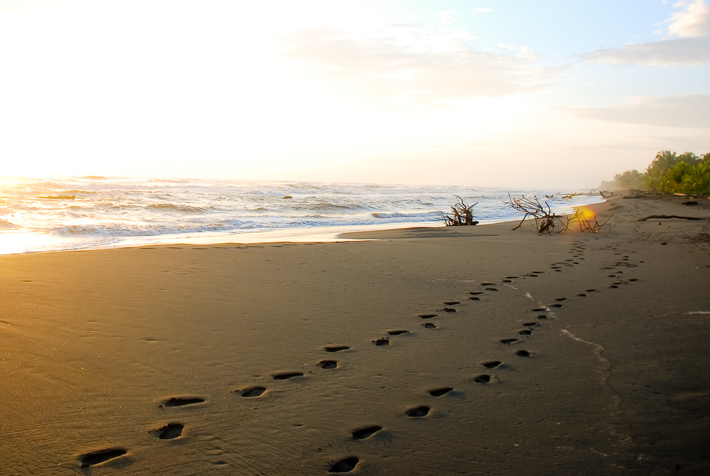 Two sets of footprints dot the beach as light reflects off the water.