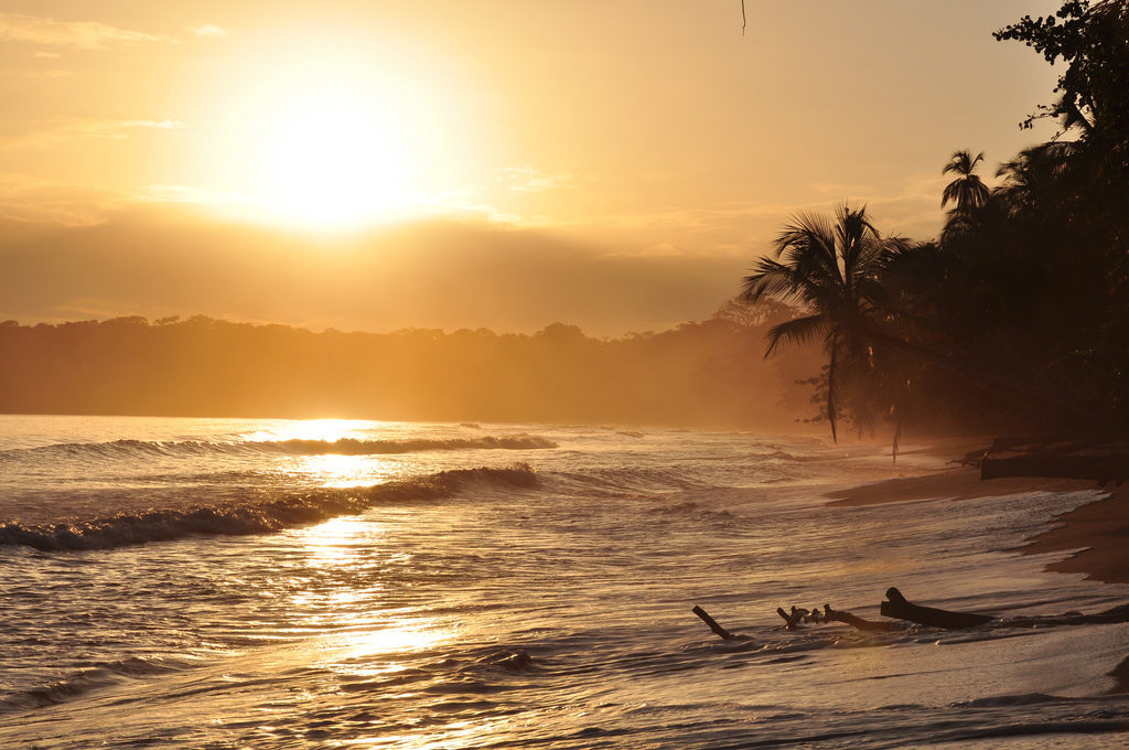 The rising sun casts incoming waves in a golden hue.