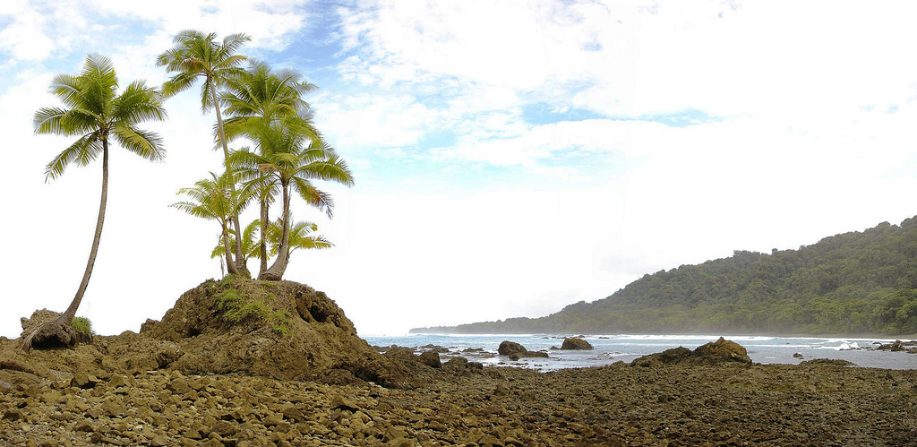 A rocky shore studded with palm trees gives way to a crescent beach.