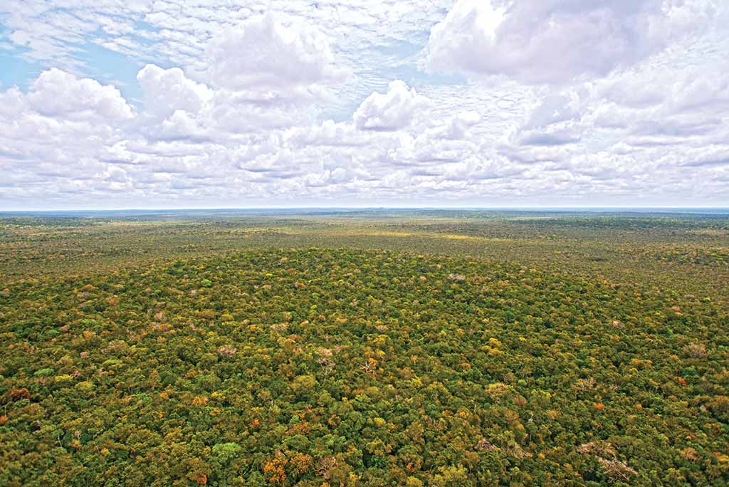 Guatemala's impressive Maya Biosphere Reserve. Photo © Al Argueta.