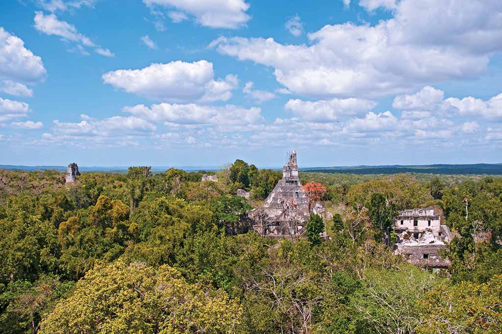 View of Tikal from Temple V. Photo © Al Argueta.