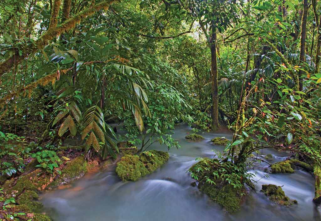 Jungle river at Parque Ecológico Hun Nal Ye. Photo © Al Argueta.