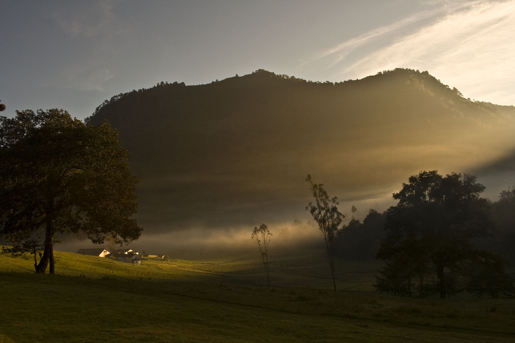 Sunlight comes in at an angle illuminating a farmouse and fog laying low in a pastoral valley.