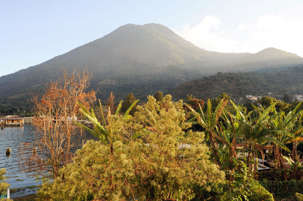 Looking out over trees to San Pedro volcano with houses visible on the verdant hillsides.