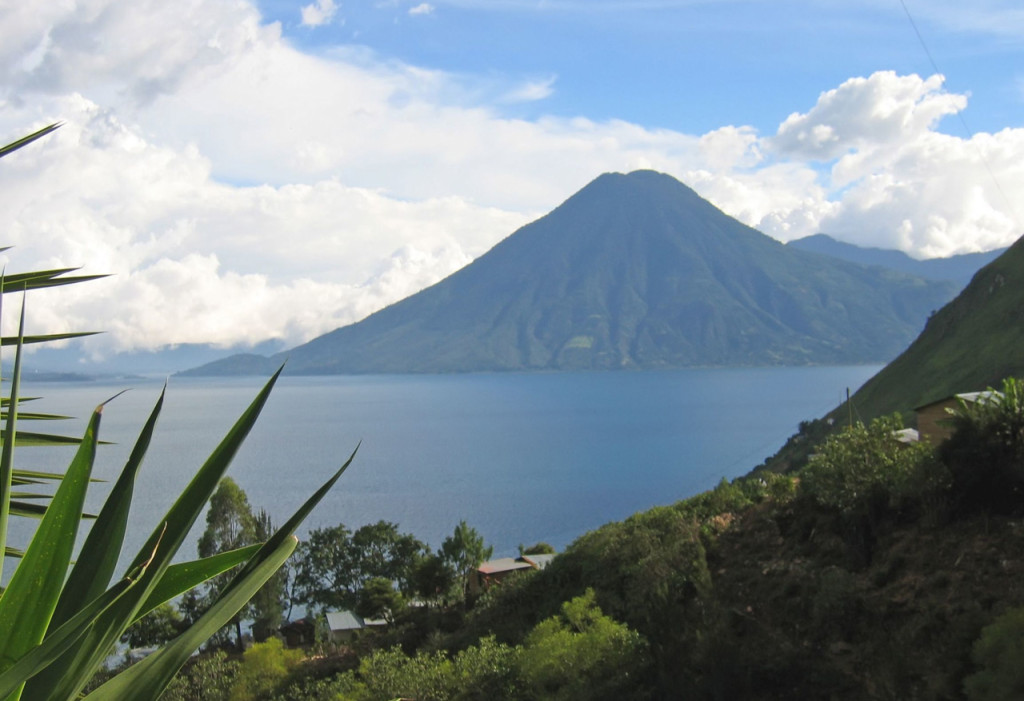 Palm fronds in the foreground frame a wide lake with a conical volcano rising in the distance.