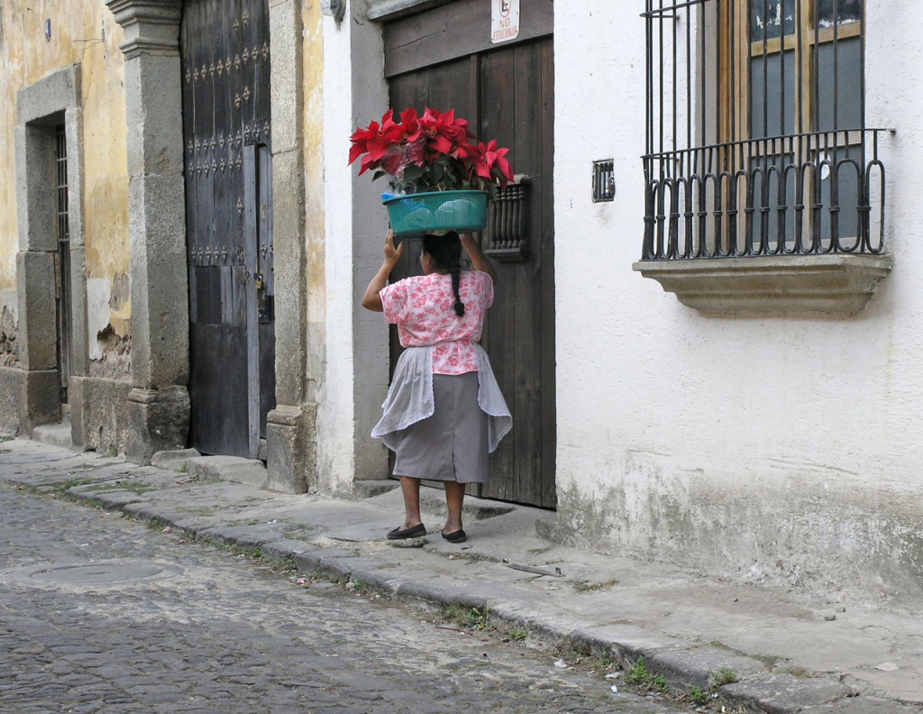 A woman walks down a cobblestoned street carrying a basket full of poinsettias balanced on her head.