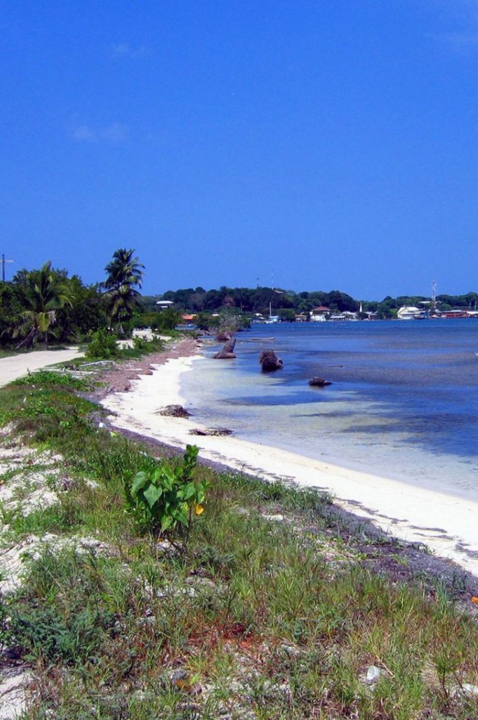 View down a stretch of white-sand beach in Utila, Honduras.