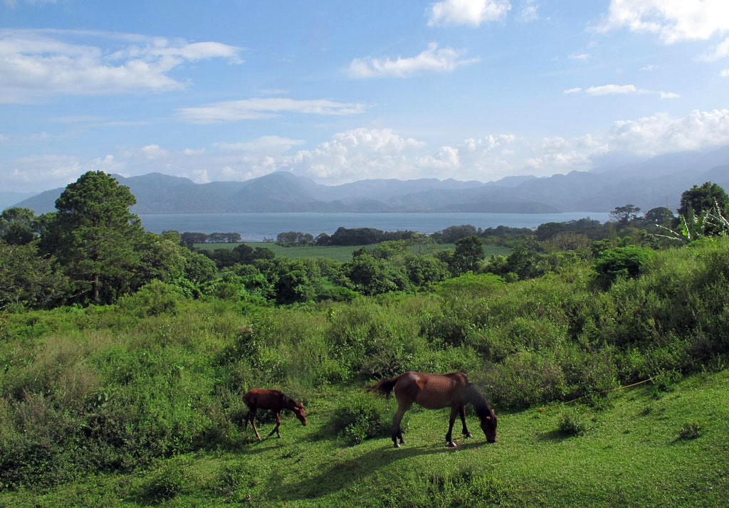 A horse and her colt graze on a grass slope with a lake visible in the distance.