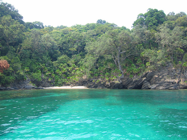 Beautiful turqouise water near a verdant shore.