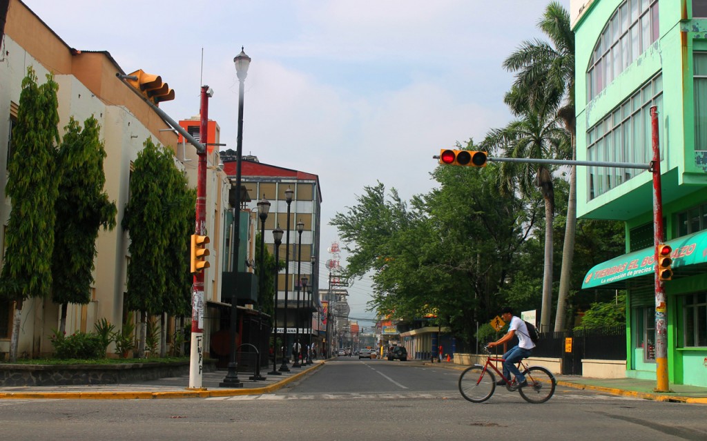 A cyclist rides across an intersection of a palm-lined street.