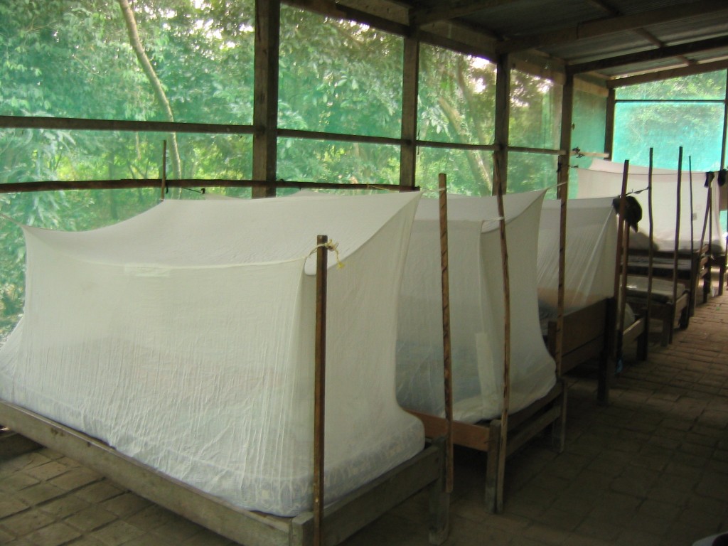 A row of single wooden bunks each draped with a mosquito net.