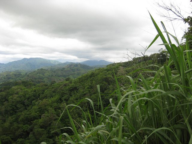 Clouds hang low over lush green hills dipping down into a verdant valley.