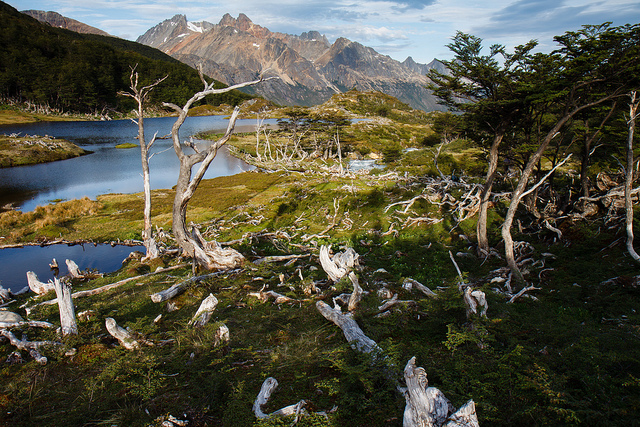 A beach in Tierra del Fuego, Argentina.