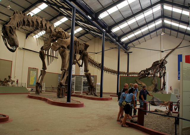 Visitors explore exhibits in a room dominated by large dinosaur skeletons.