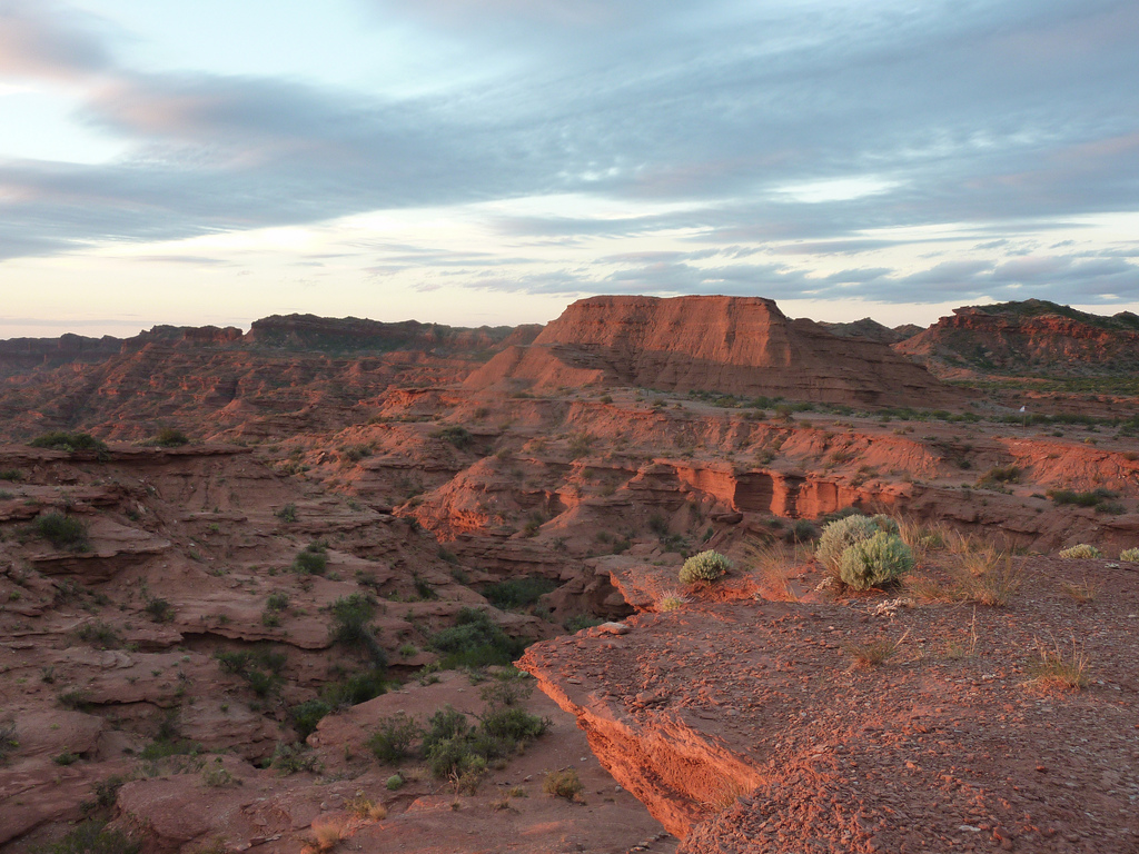 View of red rock canyons dotted with green bushes.