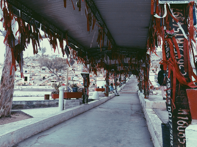 A walkway at the shrine with pillars covered in license plates and garland.