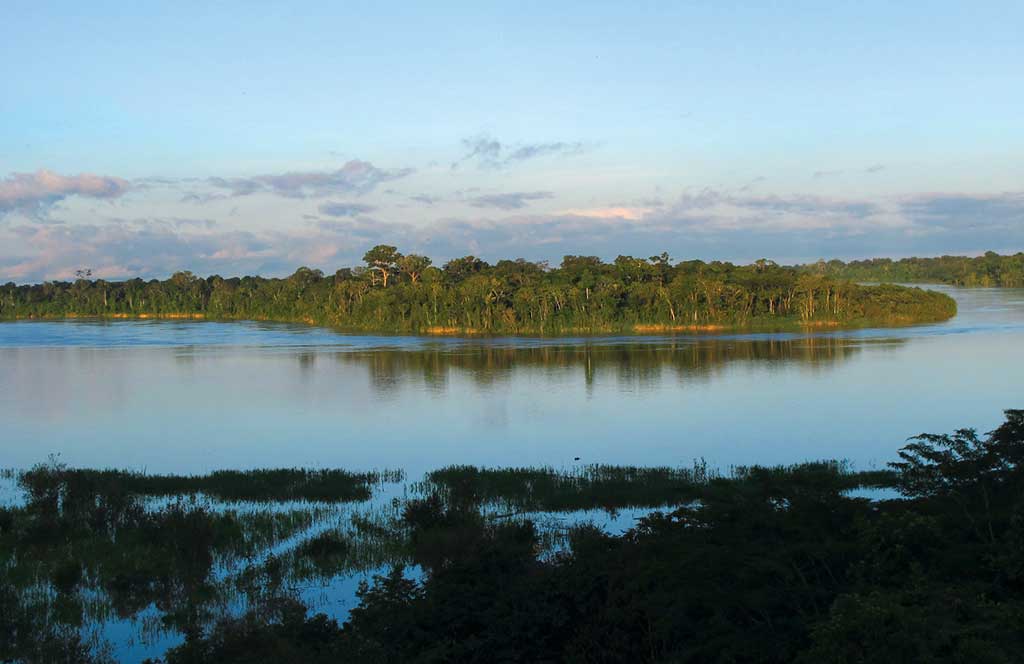 View from the lookout tower at the Reserva Natural Palmari. Photo © Andrew Dier.
