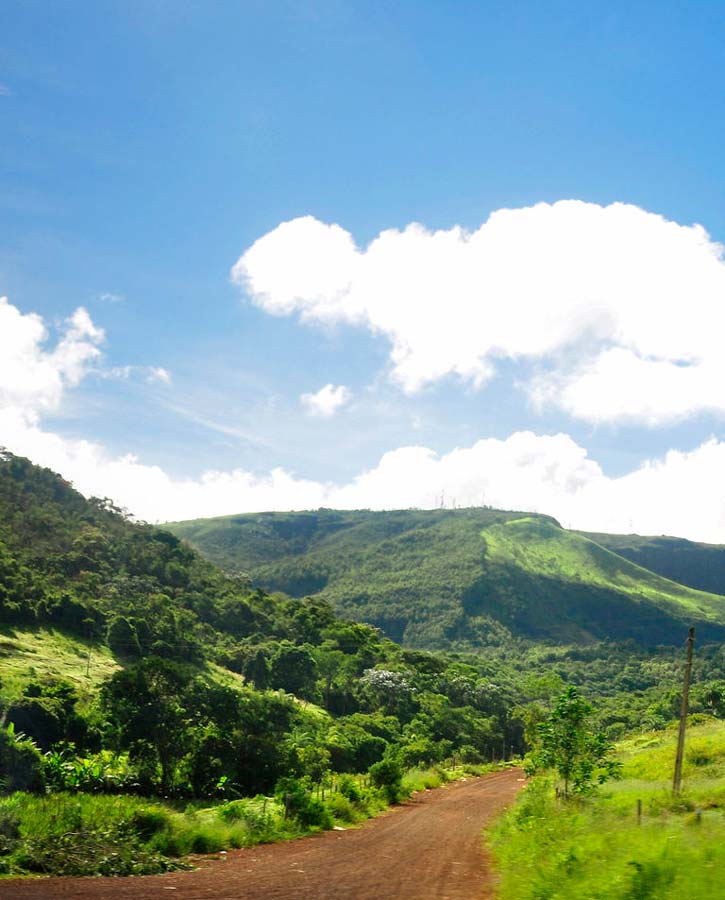 A dirt road cuts through lush, rolling green hills in the state of Minas Gerais, Brazil.