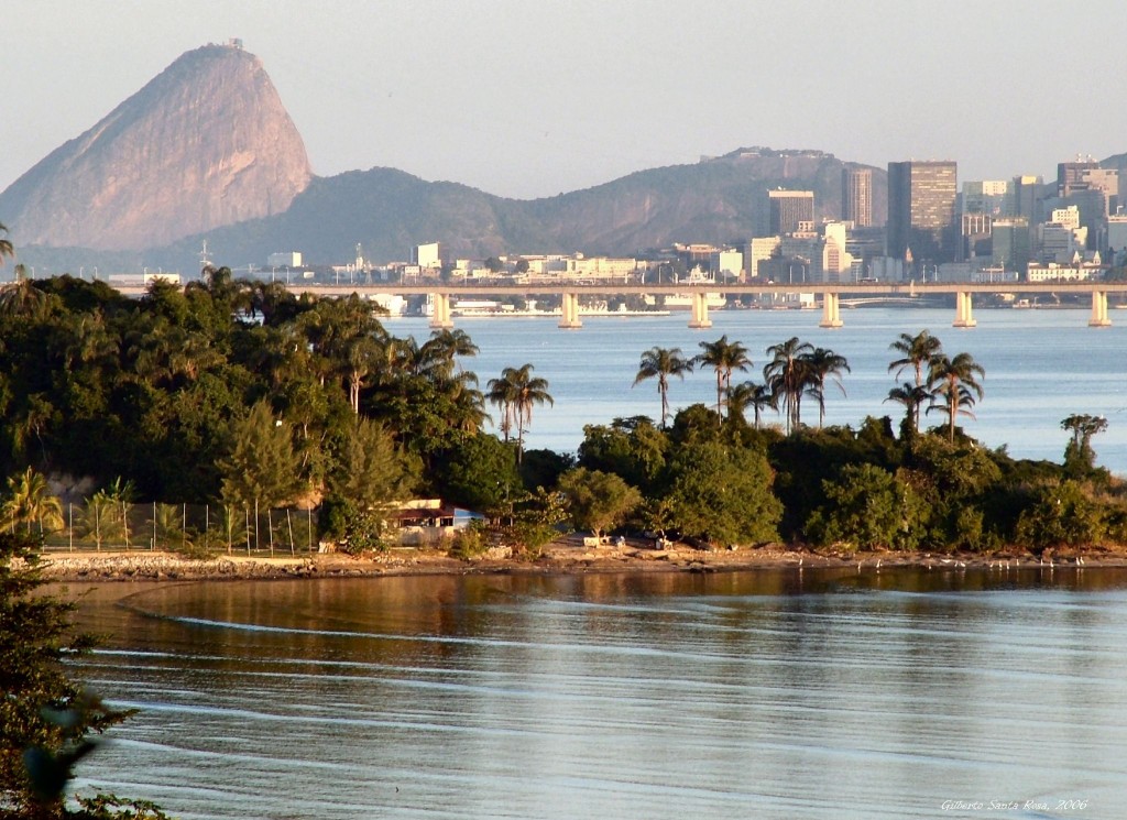 A peninsula thick with trees and palms juts into the water of the bay while the cityscape is visible in the distance.