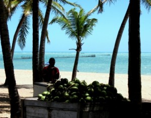 Man under palm trees on beach