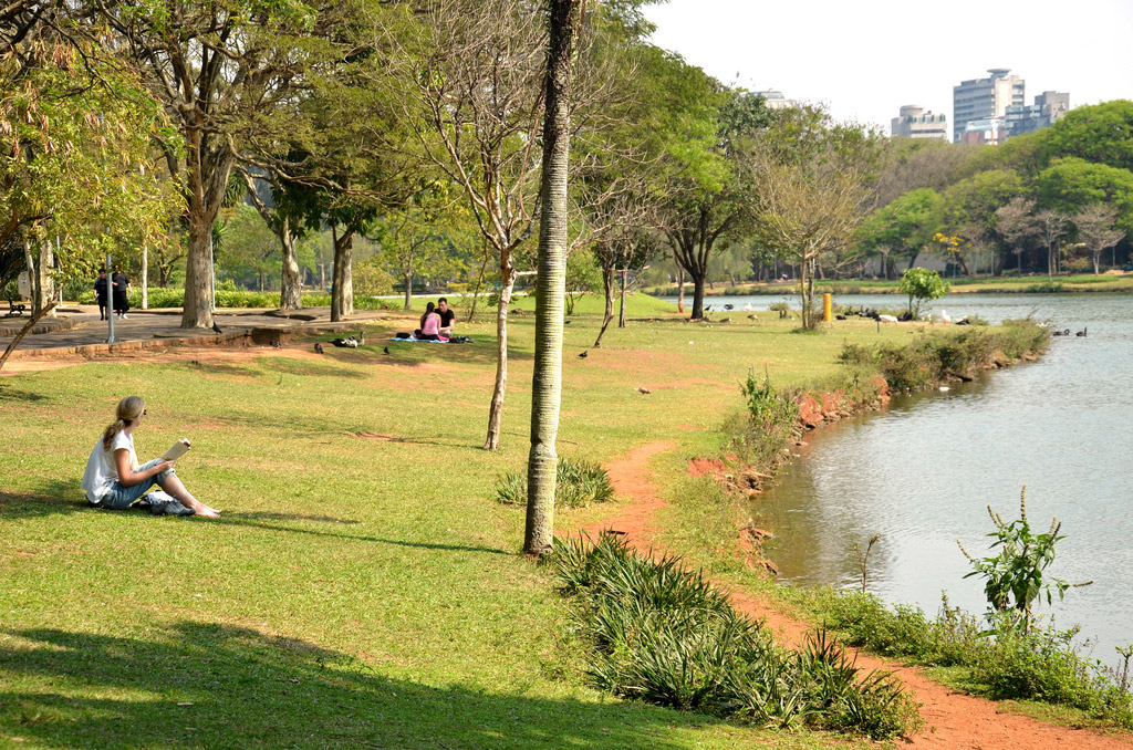 At the edge of a glassy pond, a woman sits on a grassy embankment reading.