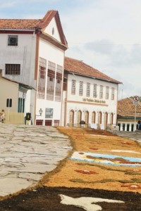 sawdust carpets in Minas Gerais