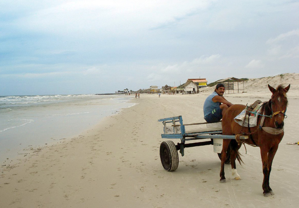 On a flat golden beach a horse is hitched to a cart with the buildings clustered around Algodoal's dock are visible in the distance.