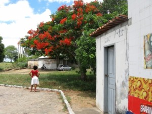 Woman below tree with red flowers