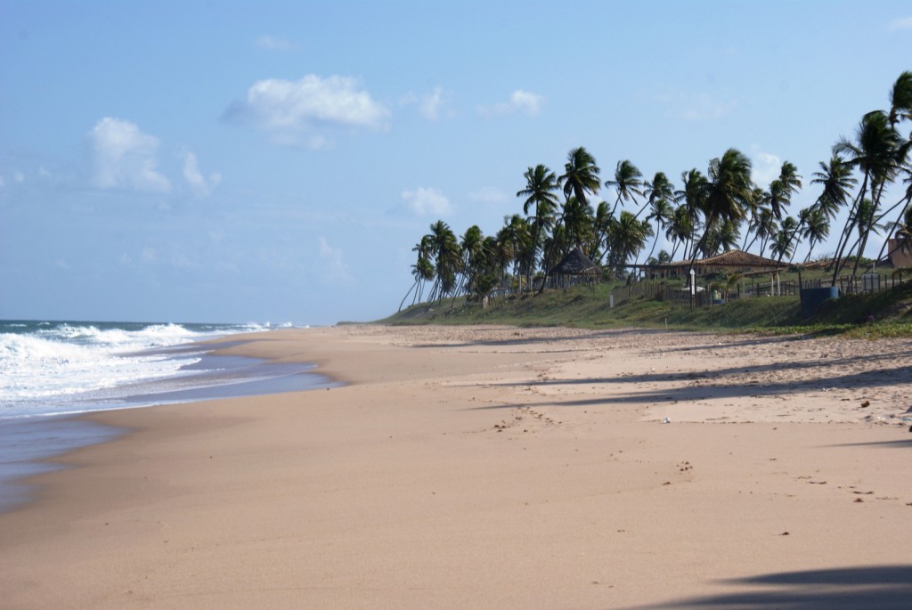 View of a wide sandy beach leading up to a cluster of palm trees.